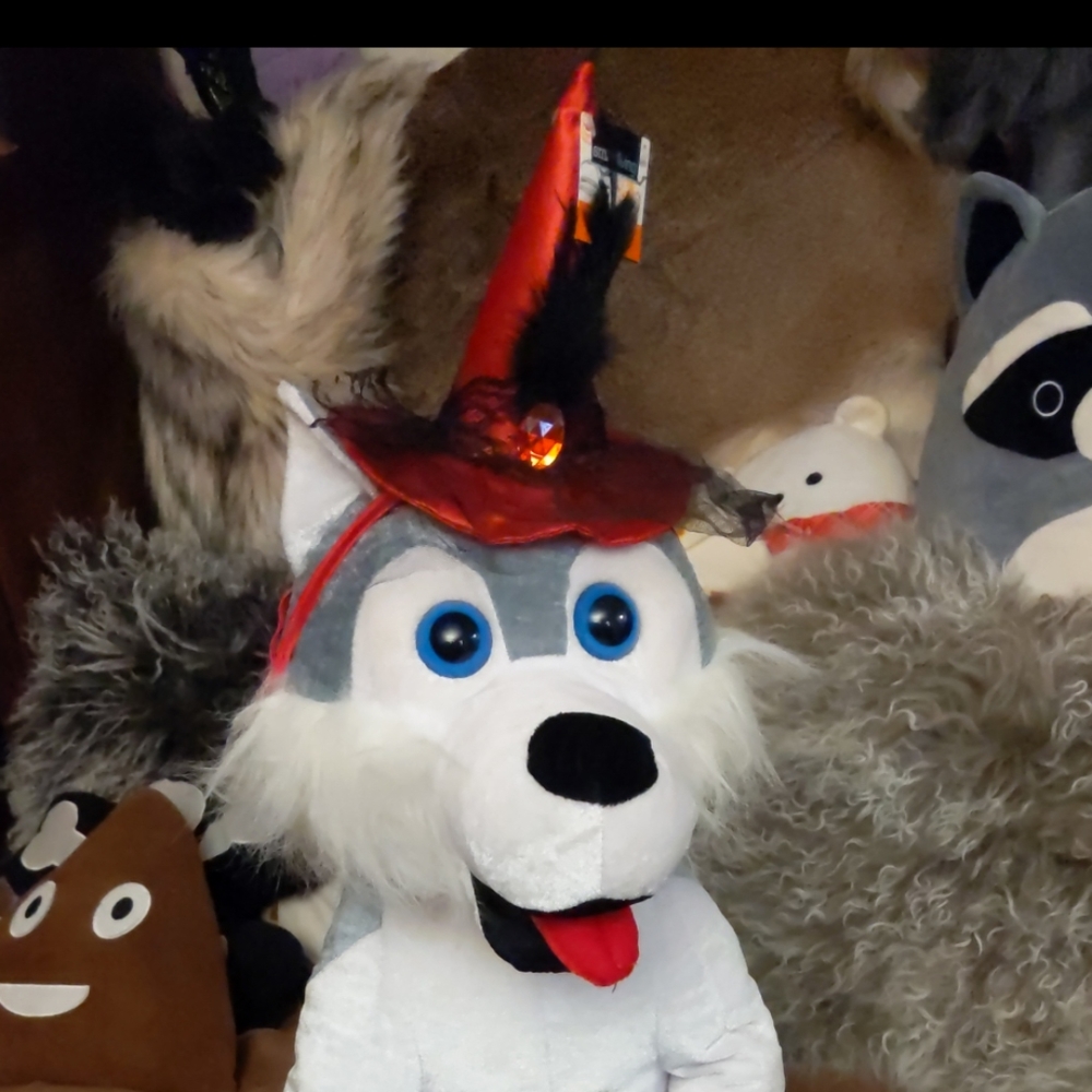 Witch hat for pets